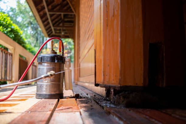 Best Best Pest Control Companies  in Sycamore, IL